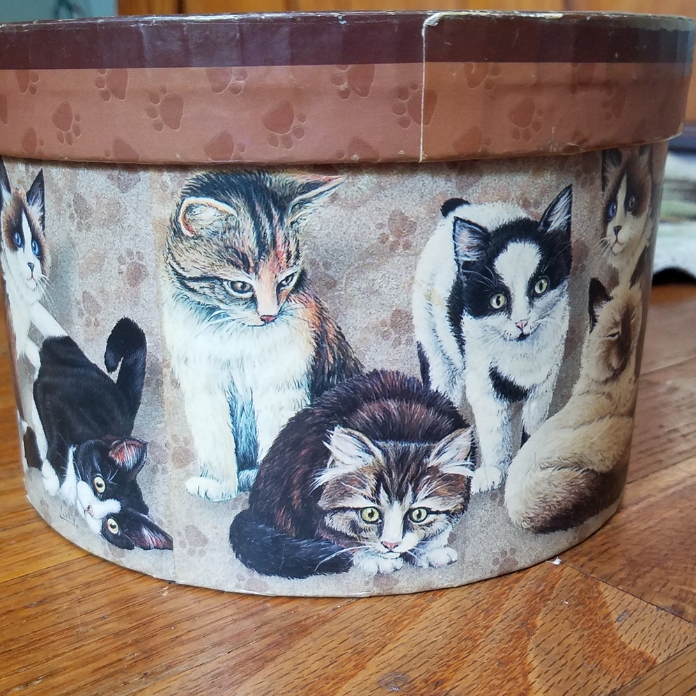 Kitty City keepsake Vintage Jewelry box.
